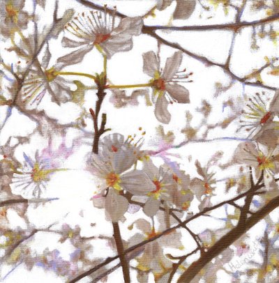 Prelude by Helen White